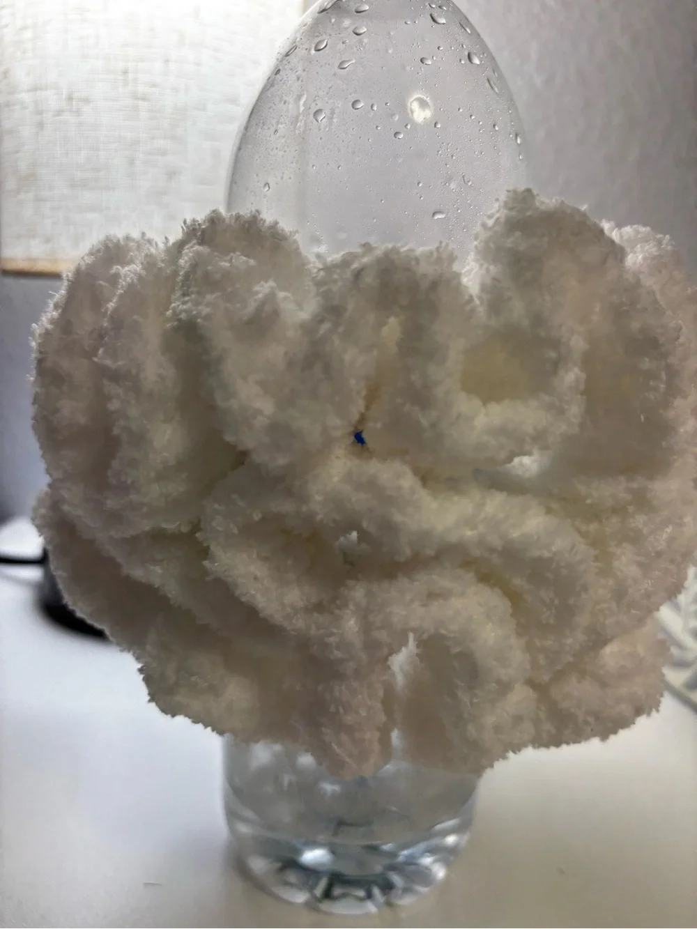 Crocheted scrunchies